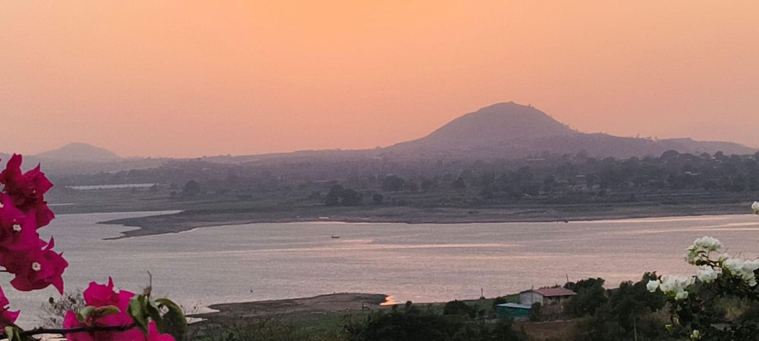 Bougainvillea against a hazy sunset over the lake